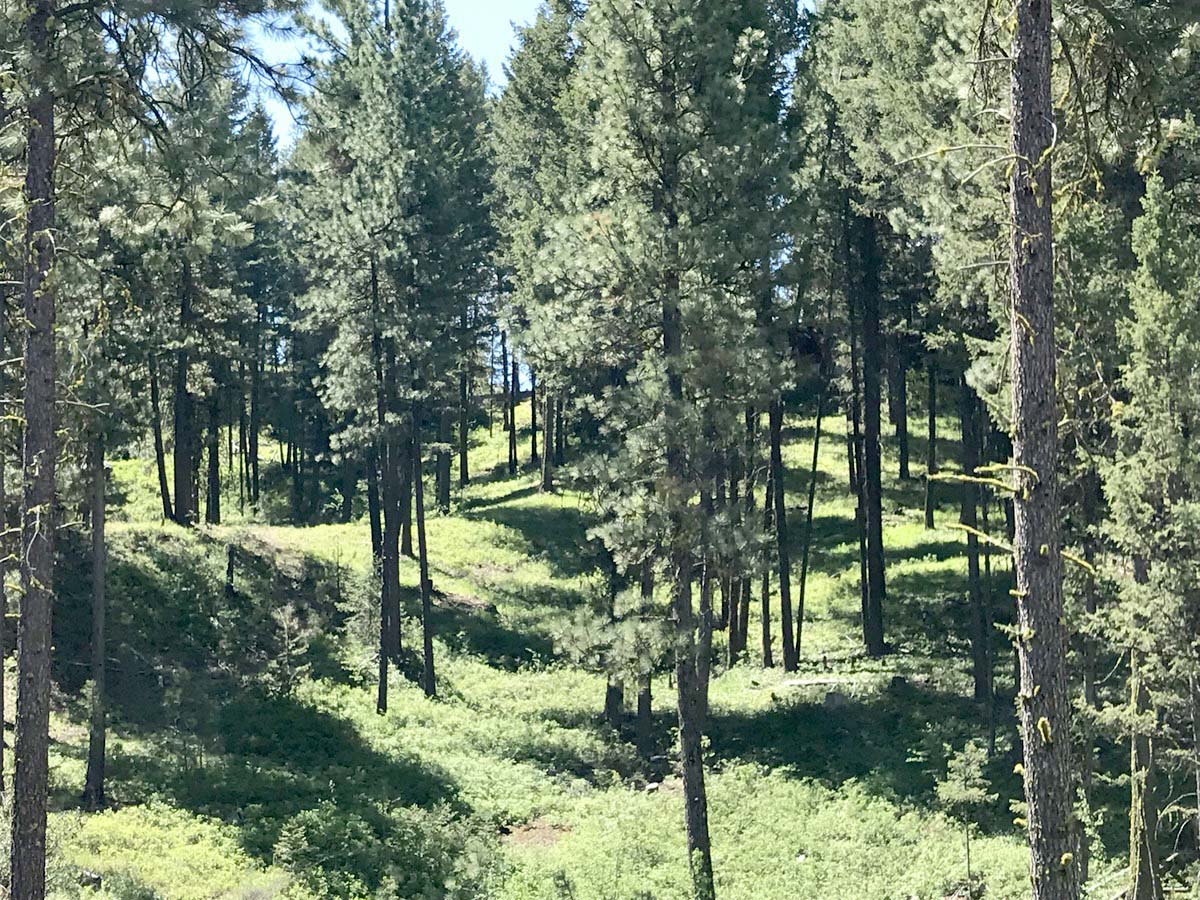 Cascade Lake Realty Bare Land 166K to 299.9K